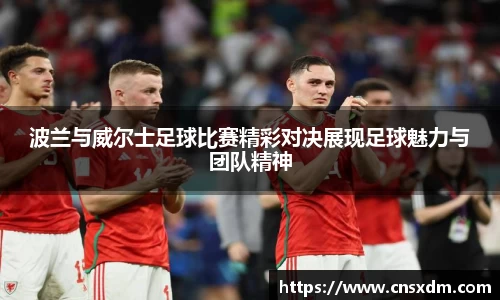 波兰与威尔士足球比赛精彩对决展现足球魅力与团队精神