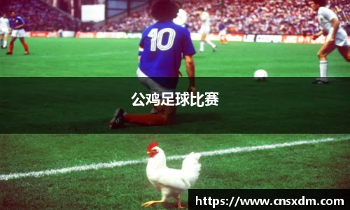 尊龙凯时 
