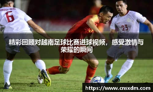 精彩回顾对越南足球比赛进球视频，感受激情与荣耀的瞬间