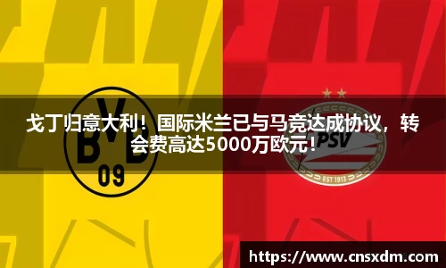 戈丁归意大利！国际米兰已与马竞达成协议，转会费高达5000万欧元！