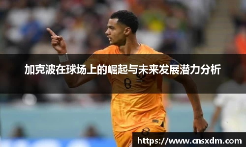 尊龙凯时官网入口